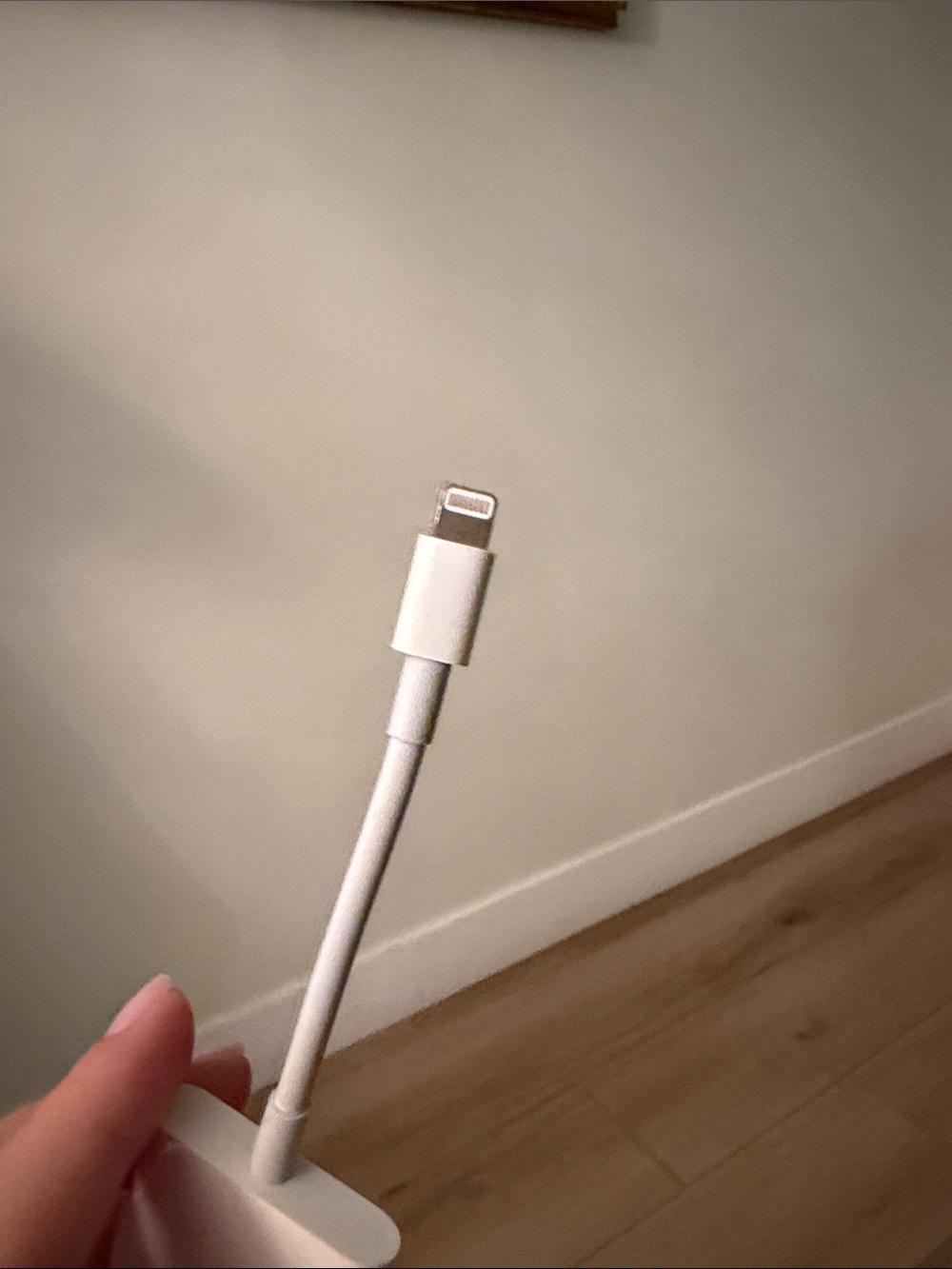 Apple - Picture 3 of 3